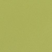 etrusco-anise-095
