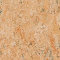 veneto-camel-616