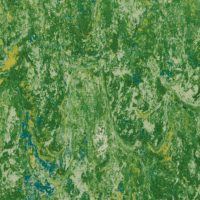veneto-grass-650