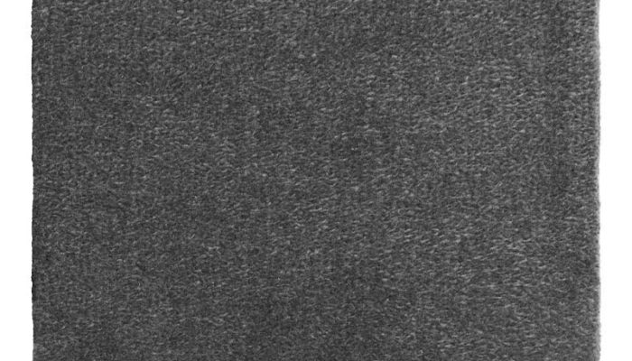 castor-plus-lana-317