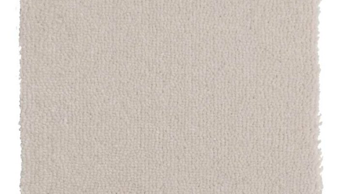 castor-plus-lana-310
