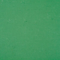 0006-linoleo-colorette-gerflor