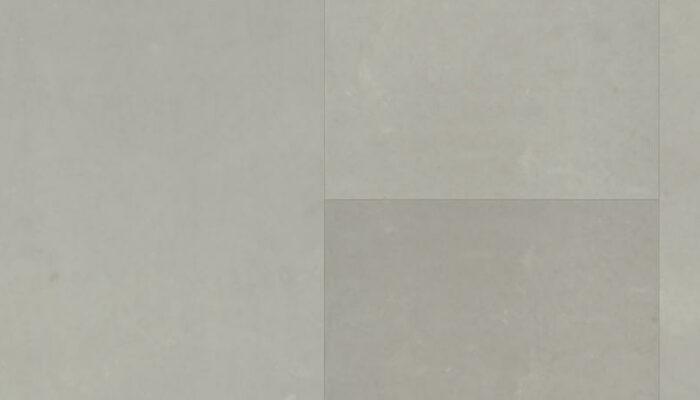36006016
