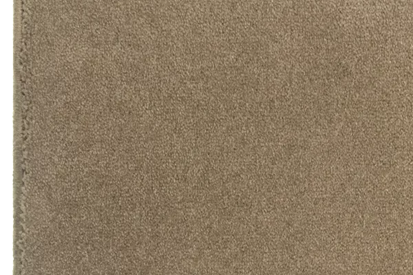 TAUPE TAUPE
